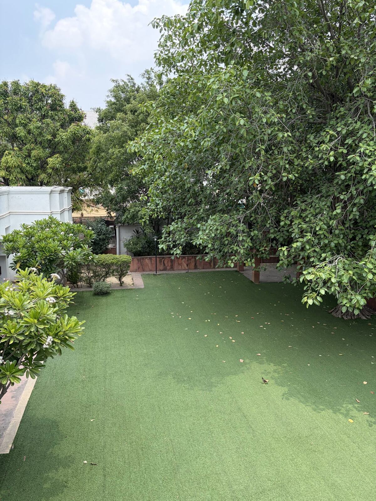 Lawns at House of Joy, photo 3